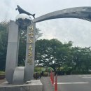 야음초등학교 | 울산 남구 가볼만한 곳 | 선암호수공원 산책하기 (주차장, 화장실, 카페 등)
