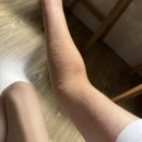 정안사랑약국 | 亚健康