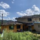 낭띠전원카페 이미지