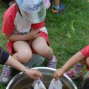 행정초교 병설유치원 이미지