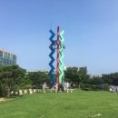 양지교육과학 이미지