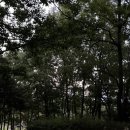 새벽촌 감자탕 이미지