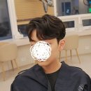 헤어-아르보