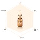 뉴비타민 - 속초시 동해대로 4092 | 뉴비타민