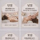 낮잠굿잠 테라피