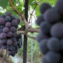 호텔 영천 이미지