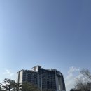 풀앤풀 | 소노캄 경주 / 디럭스 스위트B뷰프리 / 웰니스 풀앤스파 (내돈내산후기)+단점