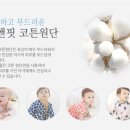 자연앤팜 이미지