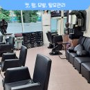 안순자헤어닥터