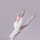 체형교정발레 이미지