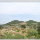 선동목장 이미지