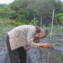 유인목장 이미지