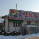 강화 신토오리 이미지
