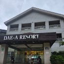 대아수퍼 | 울릉도 숙소 추천 울릉대아리조트 방갈로 이용 후기