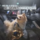 movepet 네이버블로그