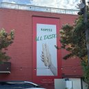 장성 KAFE52 | 전남 장성 피크닉 감성 아이랑 뛰어놀기 좋은 곳 KAFE52 PICNIC &amp; BBQ