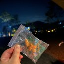 해님축사 | 김해 "플라움"캠핑장에서의 2박3일 후기