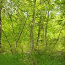 청풍호수펜션 이미지