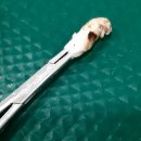 견생스타일 이미지