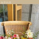 러브리프