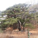 황산 관광농원 이미지