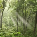 홍정목장 이미지