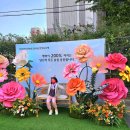 차량견인보관소 | 홍제1동 마을축제 장미골 한마음축제 체험부스 &amp; 장미터널 포토존 명소 탐방기