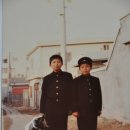 삼광중학교 이미지