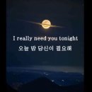 Bonnie Tyler - Total Eclipse of the Heart 이미지