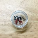 강남예치과동물병원 이미지