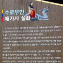 강원도 삼척 덕봉산 둘레길과 촛대바위 용궁길 그리고 임원항 수로부인 헌화공원(2) 이미지