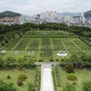 재한유엔기념공원 (UN기념공원) 쿠키뉴스