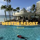 설화국가족호텔(주) | 괌 가족호텔 추천 웨스틴 리조트 수영장 피트니스 조식숙소후기