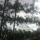 후니농장 이미지