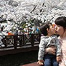 황금시장플랫폼 화장실 이미지