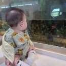 (주)민트플레이 | 부산아기랑 아이랑 명지키즈카페 아쿠아플레이하우스