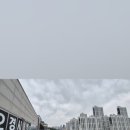 도램마을11단지앞 이미지