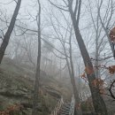 금산1리 이미지