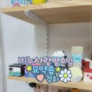 묘약솝 이미지