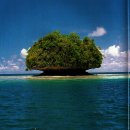 아세아수족관 | 팔라우(Palau) 여행(1)/ 남태평양 섬나라