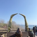 소나무펜션 | [협찬] 영덕펜션추천 소나무펜션 후기 강구항 오션뷰에 침대까지 폭신해서 푹 쉬고 왔어요