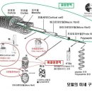 쥬니어미용실