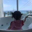 라미아까사플러스 이미지