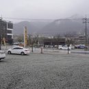 부치고지지고 이미지