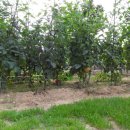 (주)제이에스코리아 이미지