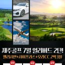 더쎈골프 이미지