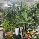 스마일화원 이미지