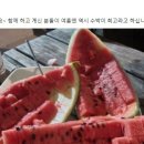 천수의원 서울신문