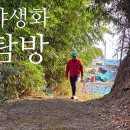 황토전경로당 | 꽃님보러 산으로~울산 어물동 야생화 탐방(2026.03.07~08)
