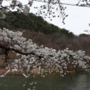 마이산남부관광안내소 이미지